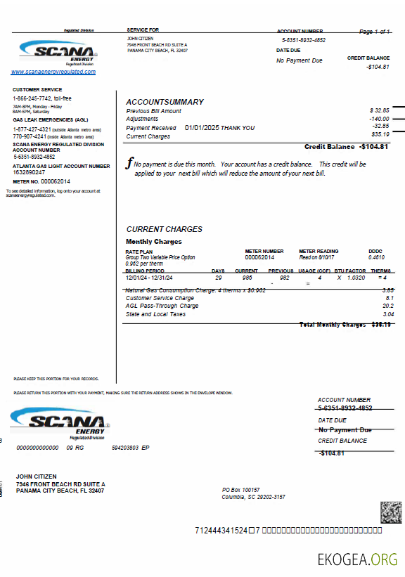 USA SCANA Energy utility bill template in Word and PDF formats